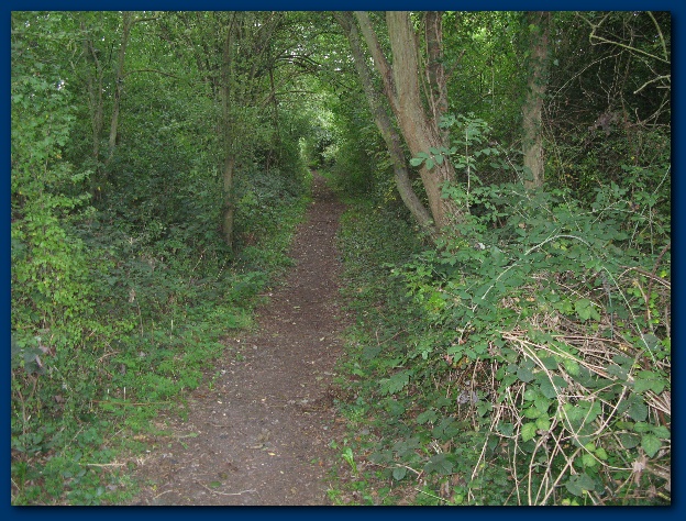 600x449 pixels (203K)